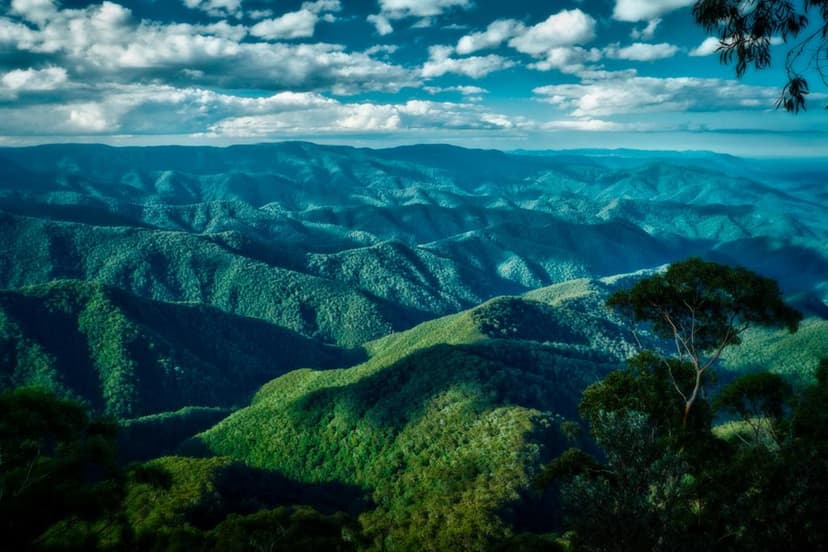 The 3-Day Reset — Bellingen