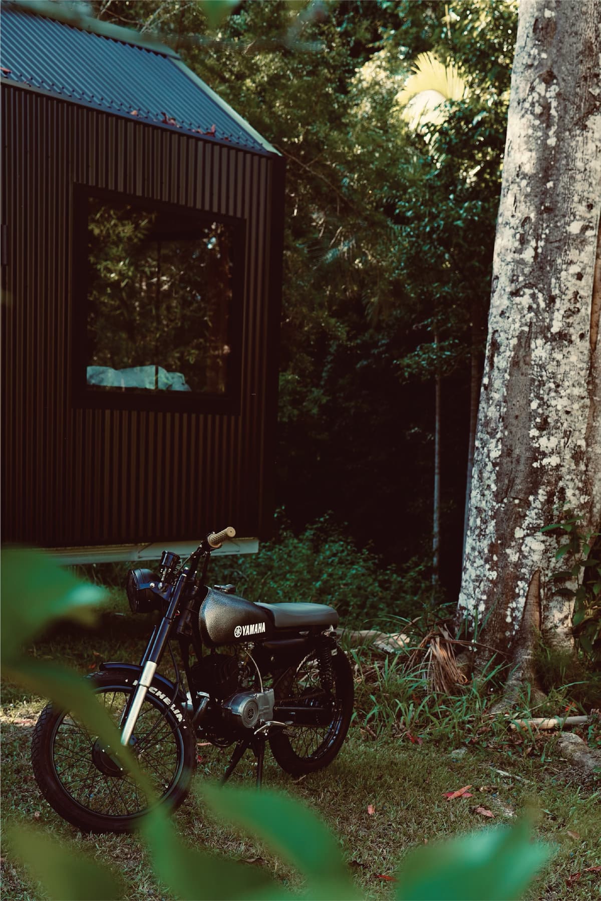 Forest Cabin