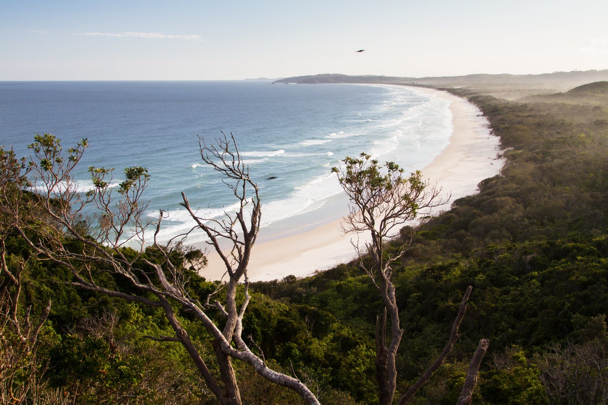 A long beach curving away below the headland