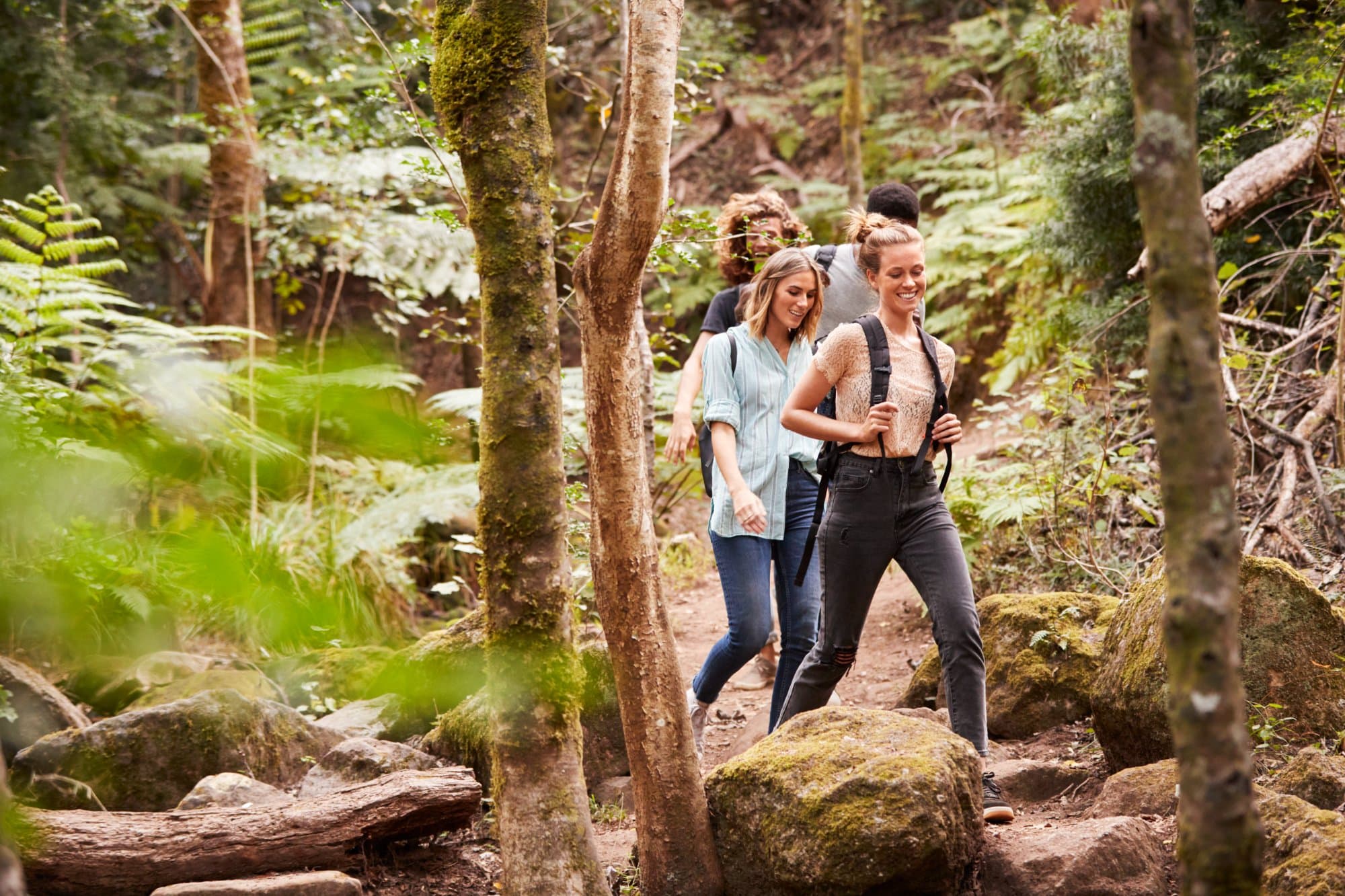 Four people walking single file through forest