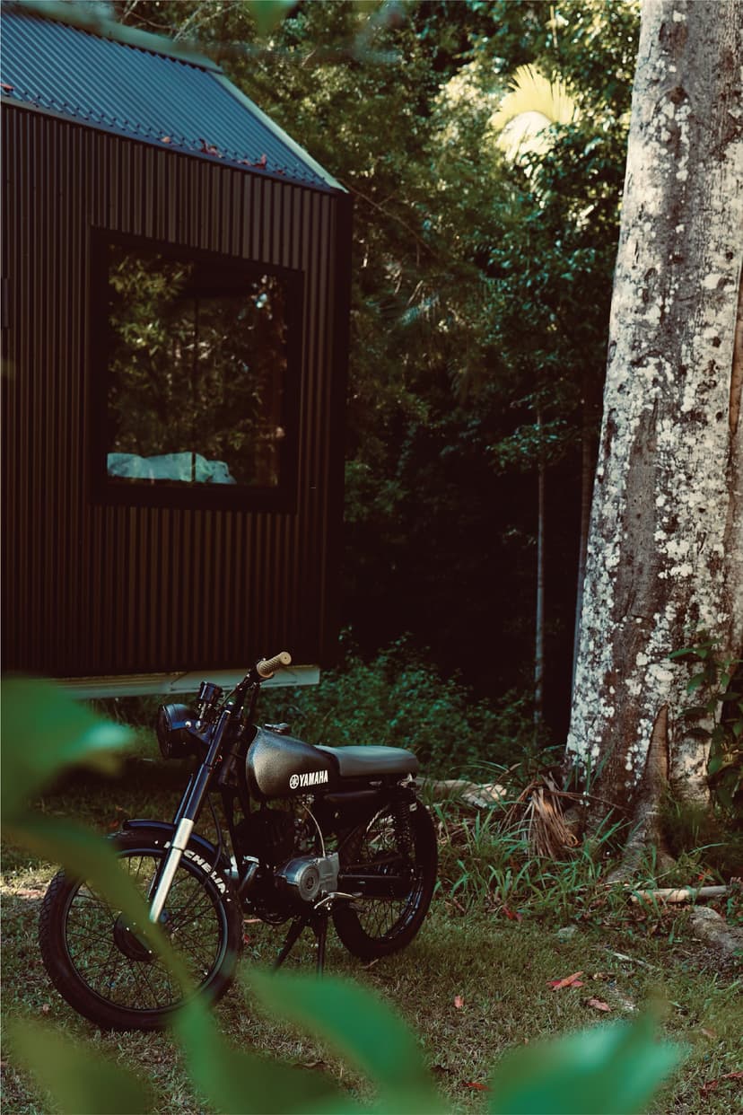 Forest Cabin